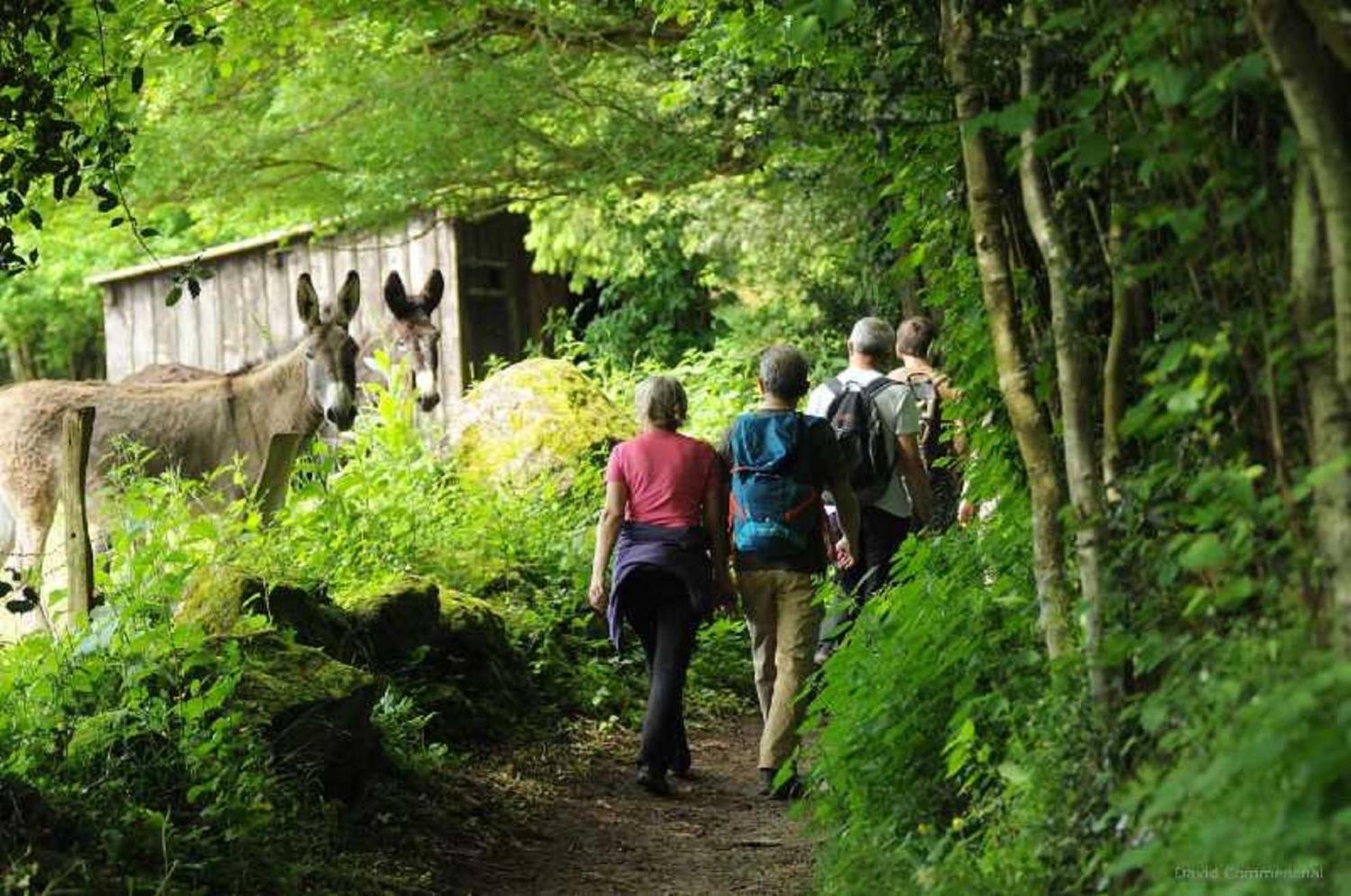 Gite De Fourneaux Pont-d'Ouilly Bagian luar foto